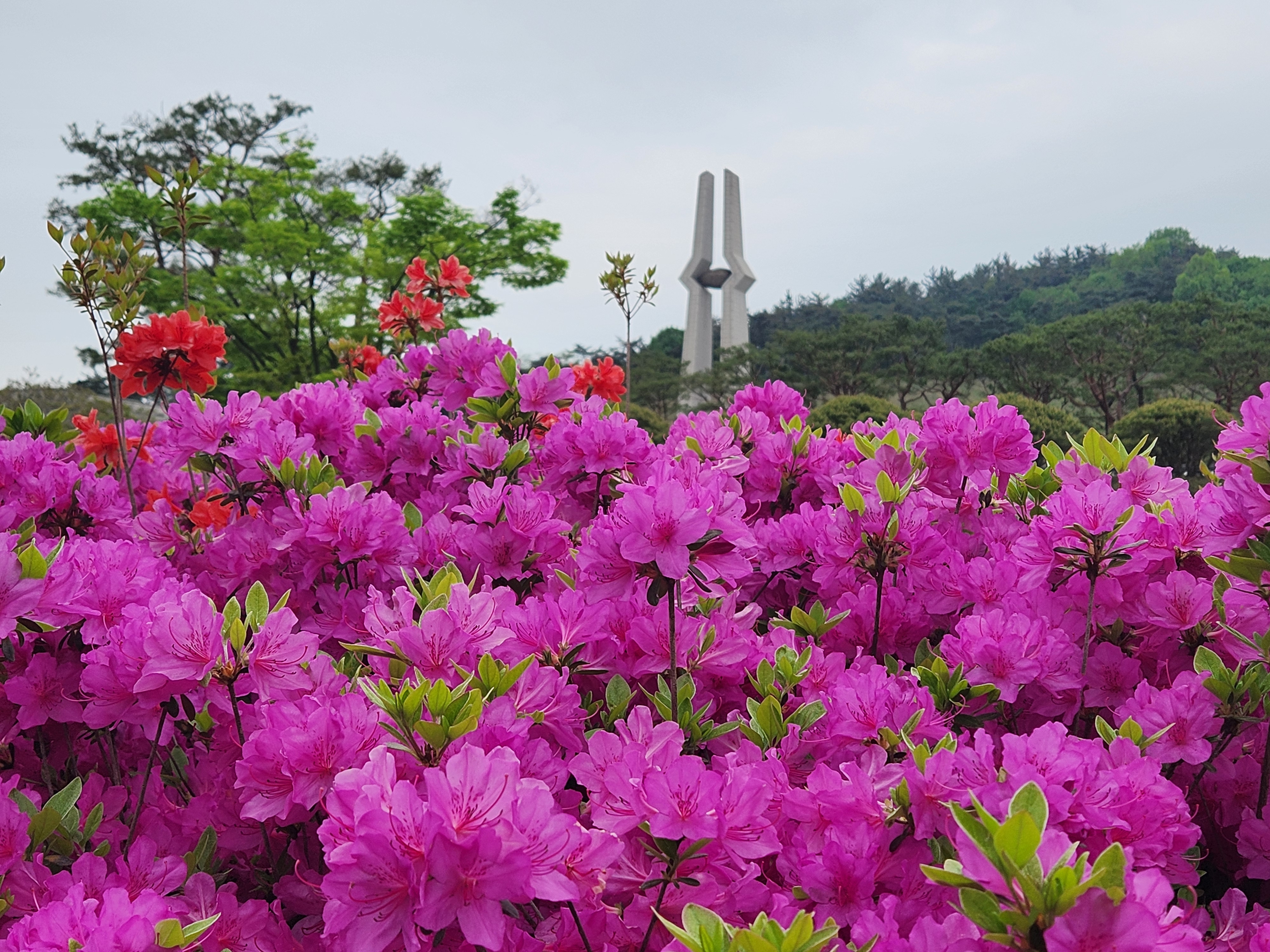 프로필사진