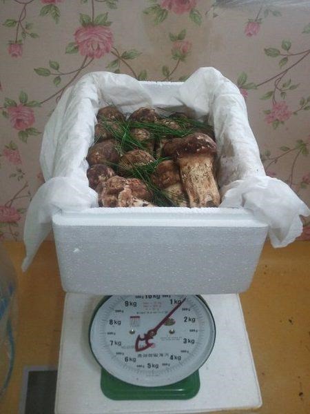 프로필사진