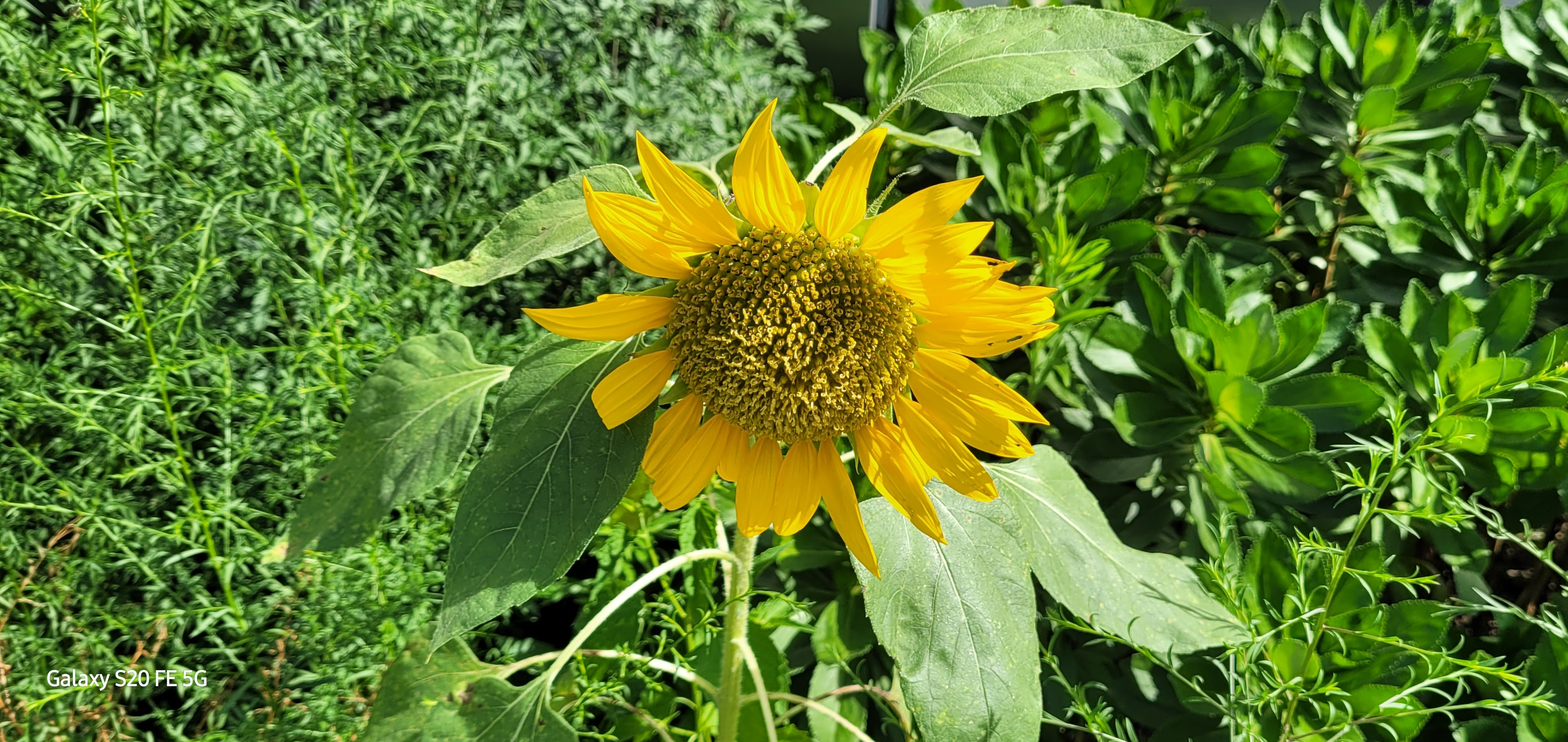 프로필사진