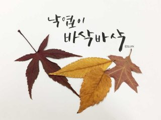 프로필사진