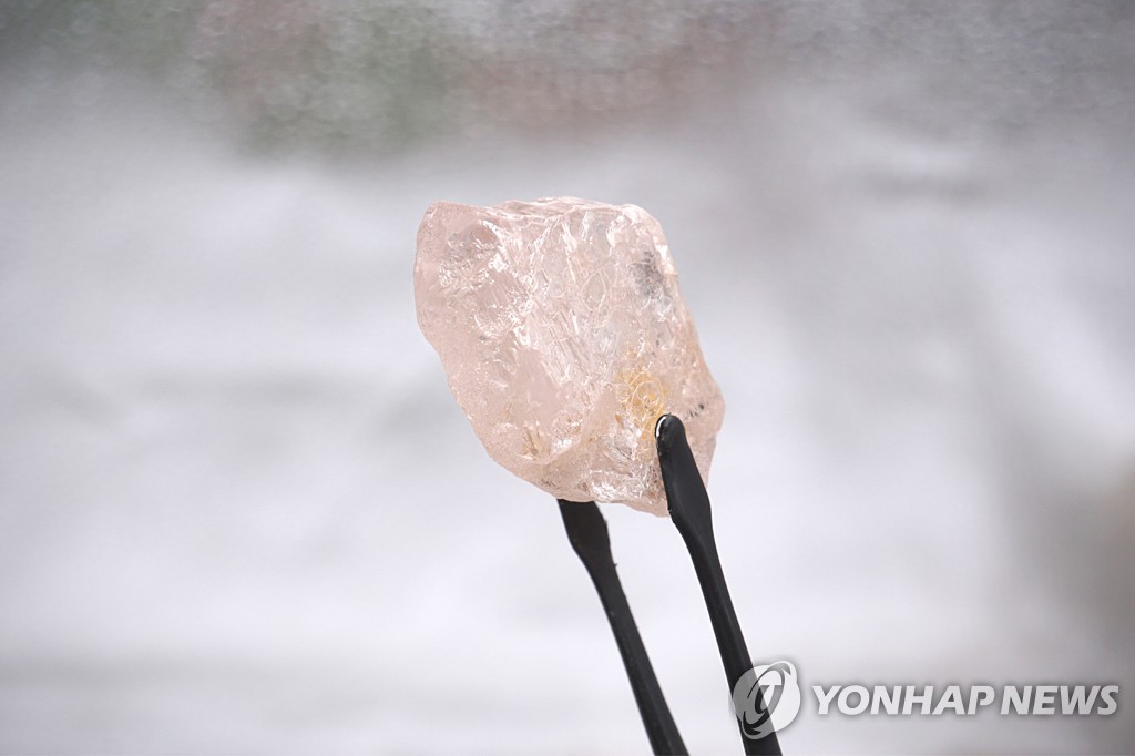 프로필사진