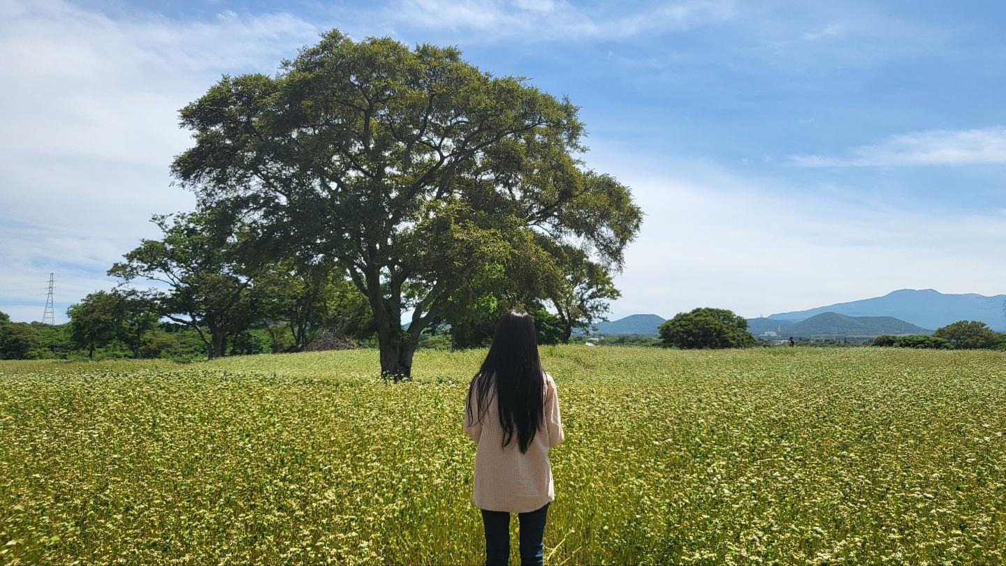 프로필사진