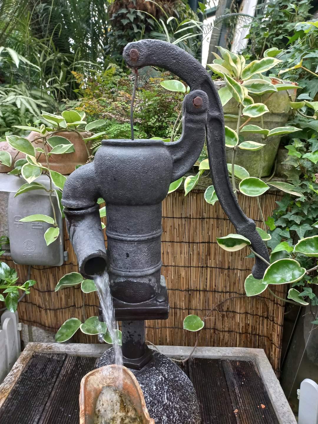 프로필사진