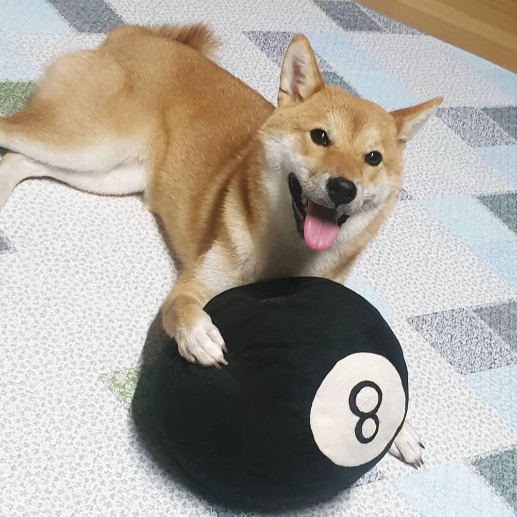 프로필사진