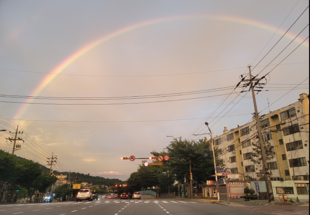 프로필사진
