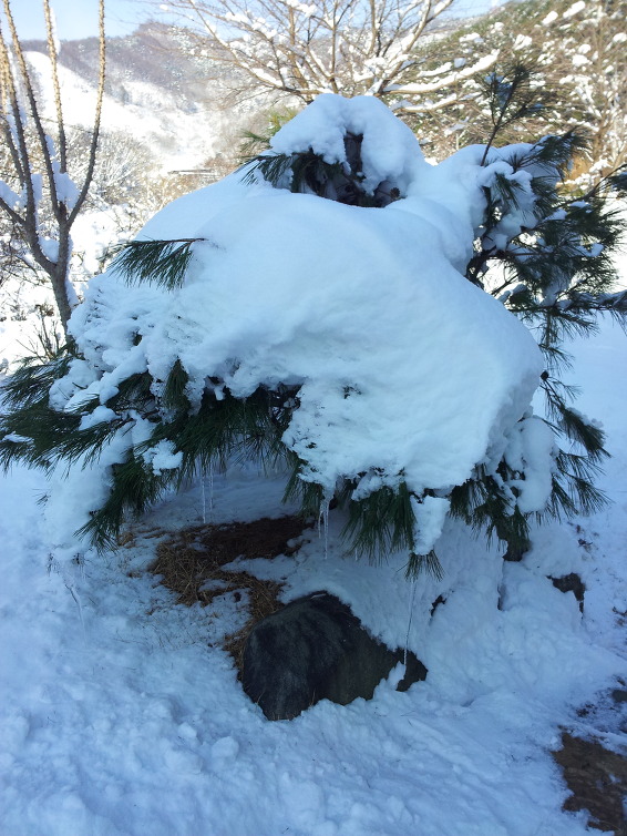 9ab692f9535446c2a0e3a0d26548e6e6