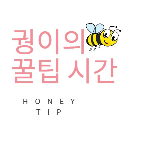 프로필사진