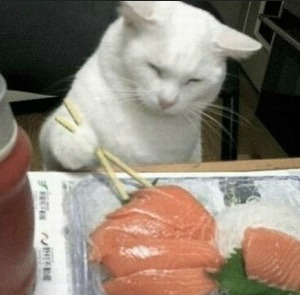 프로필이미지