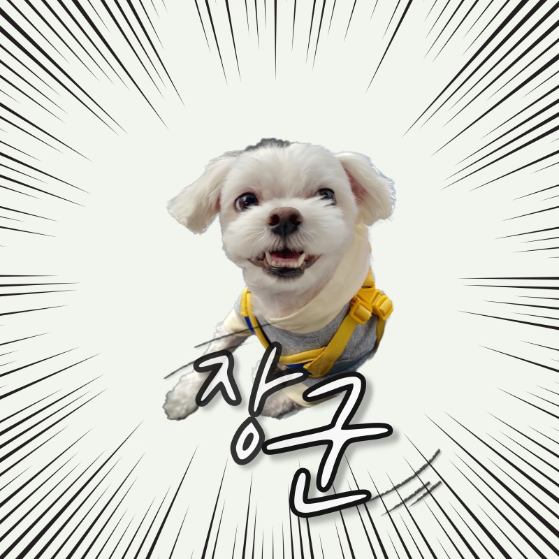 블로그 이미지