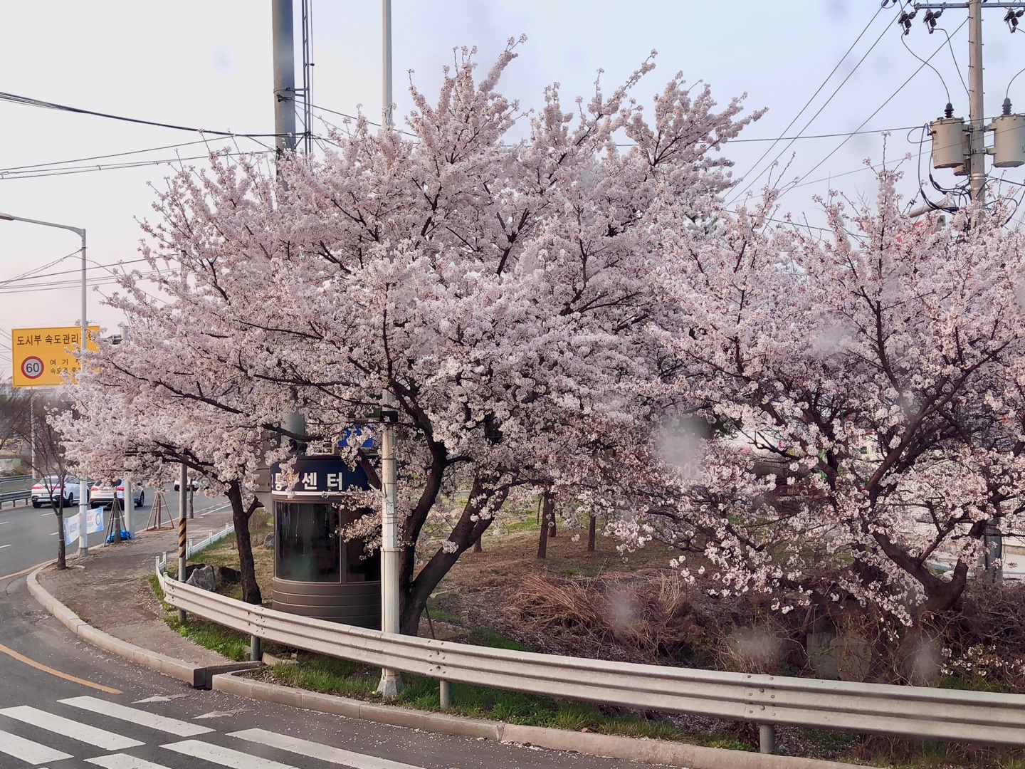 프로필사진