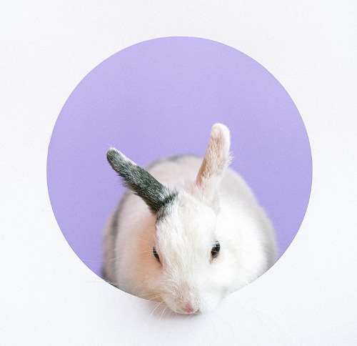 블로그 이미지