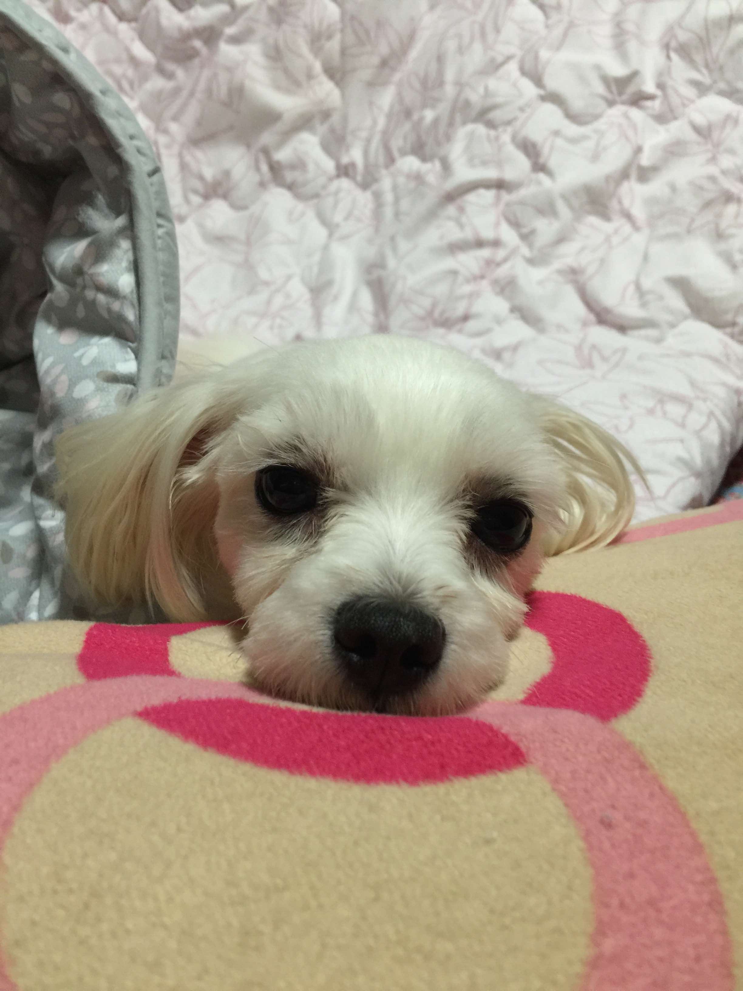 블로그 이미지