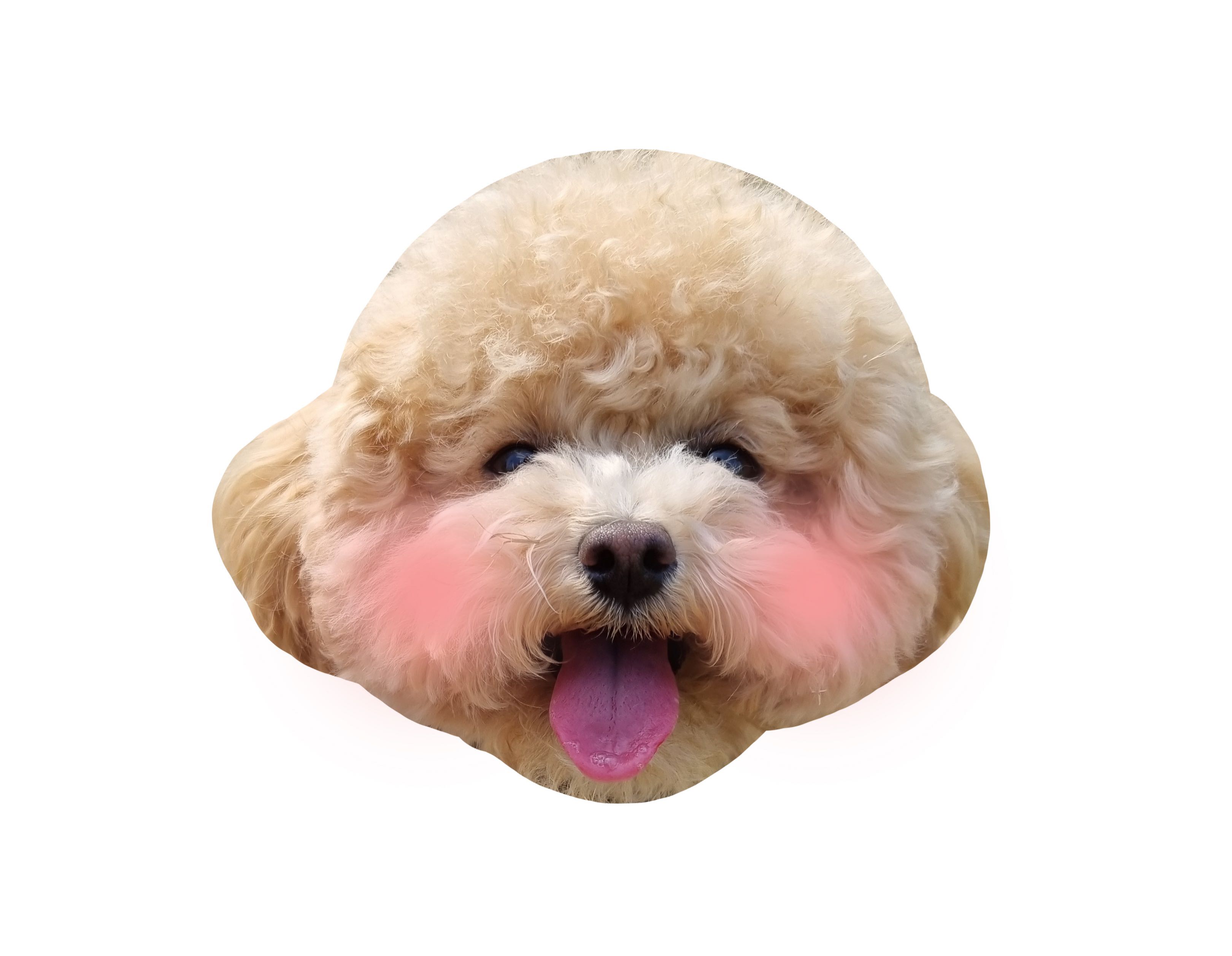 블로그 이미지