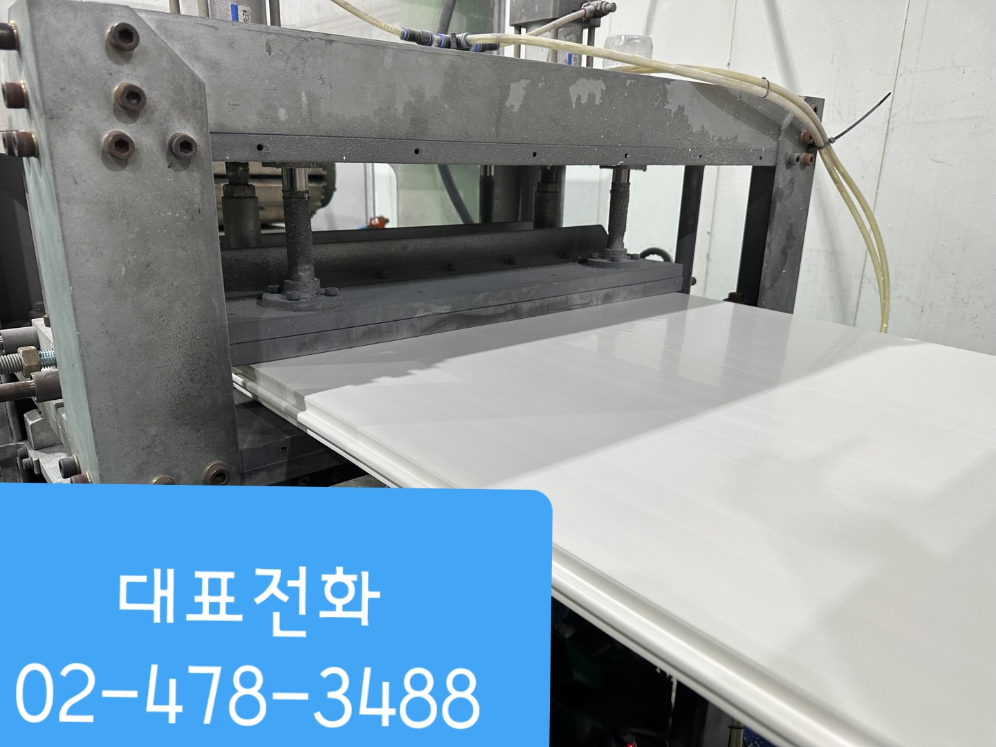프로필사진