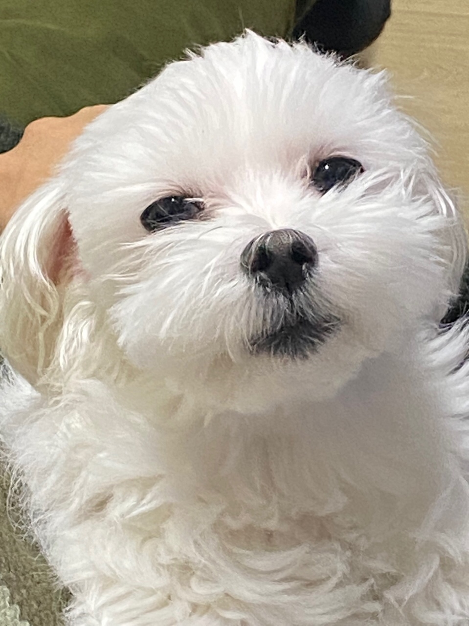 프로필사진