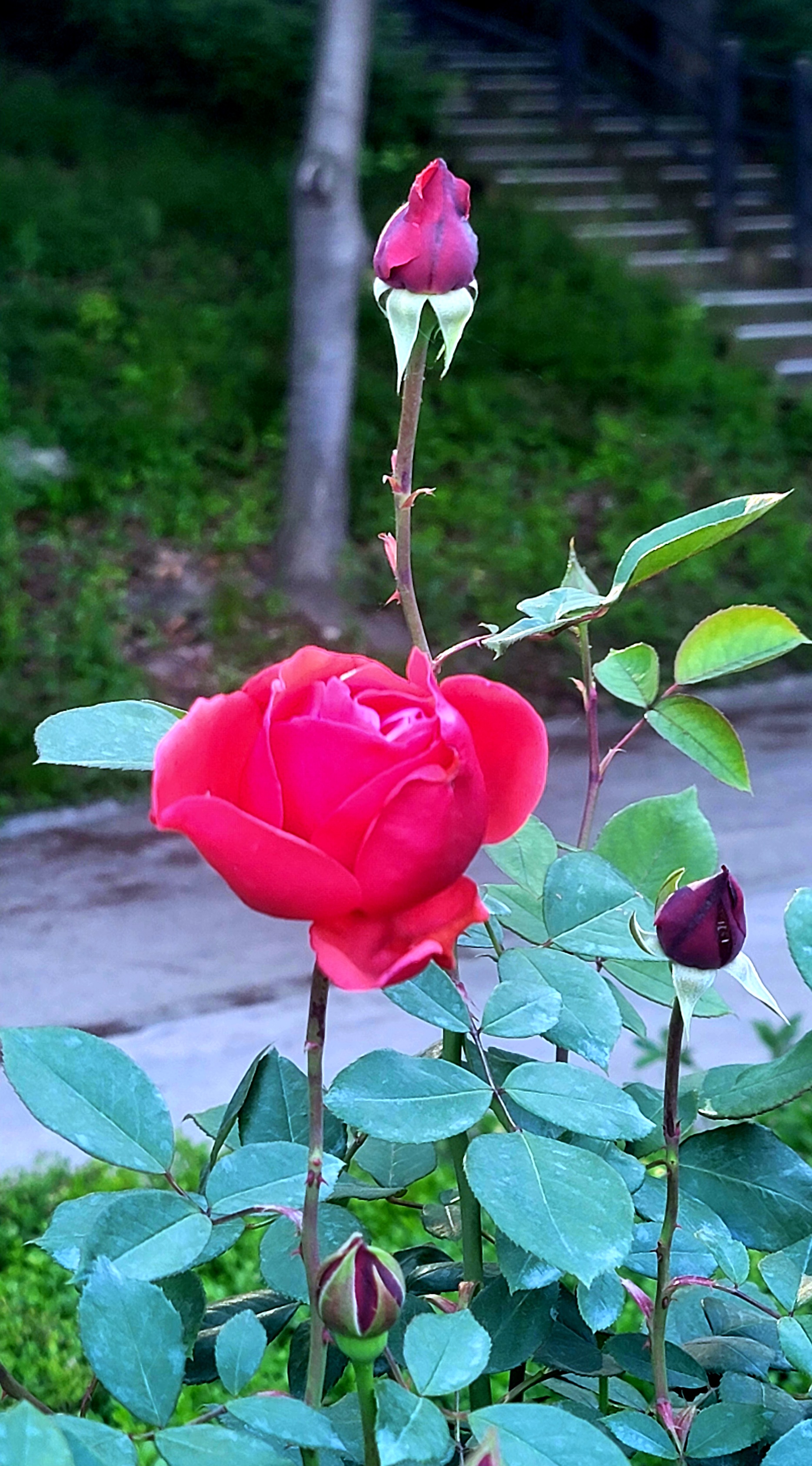 프로필사진