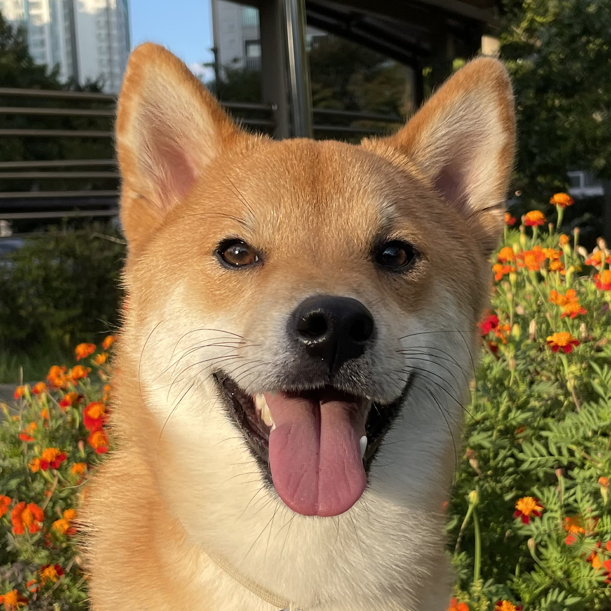 프로필사진