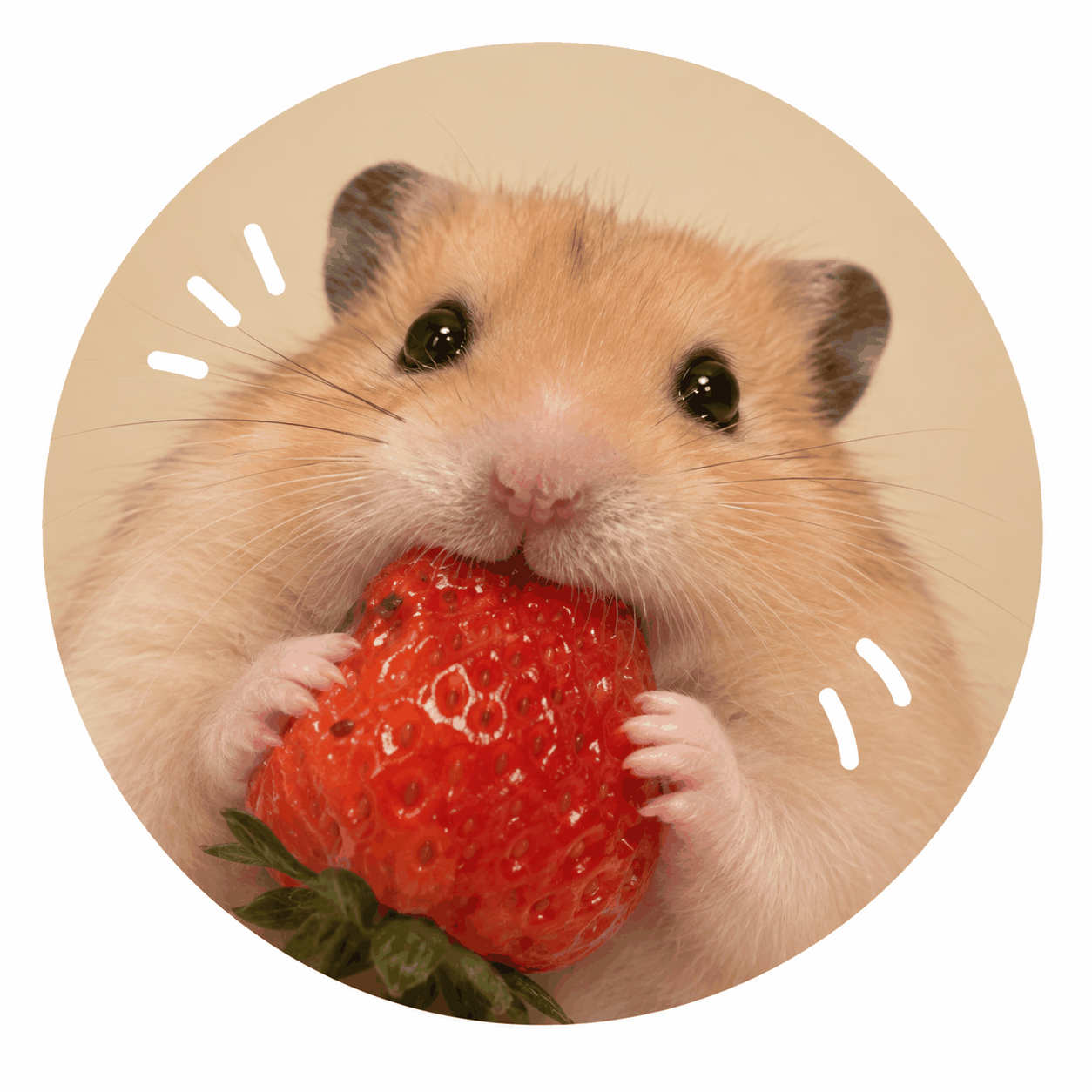 프로필사진