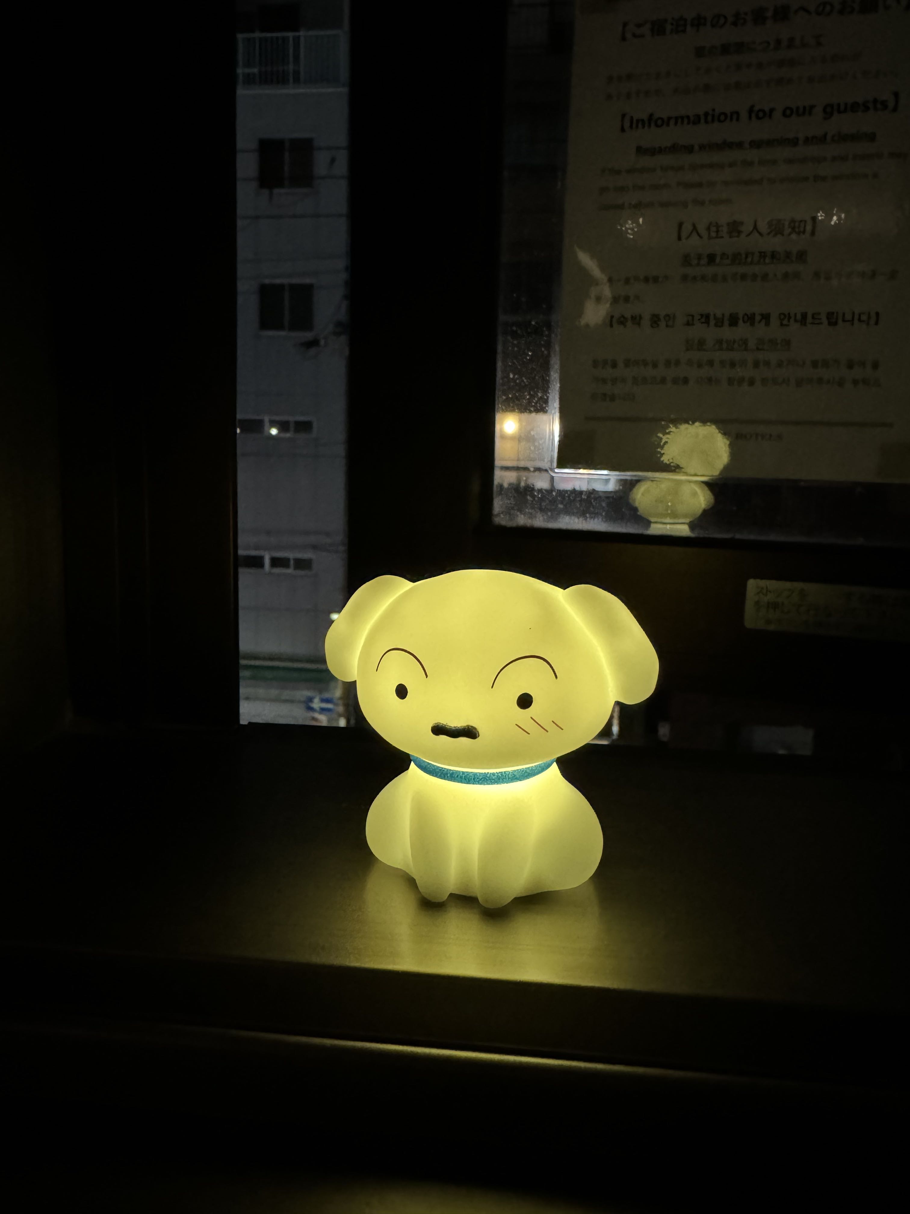 프로필사진