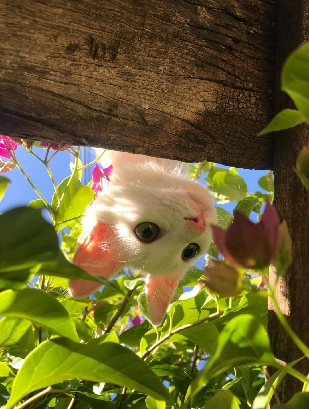 프로필사진
