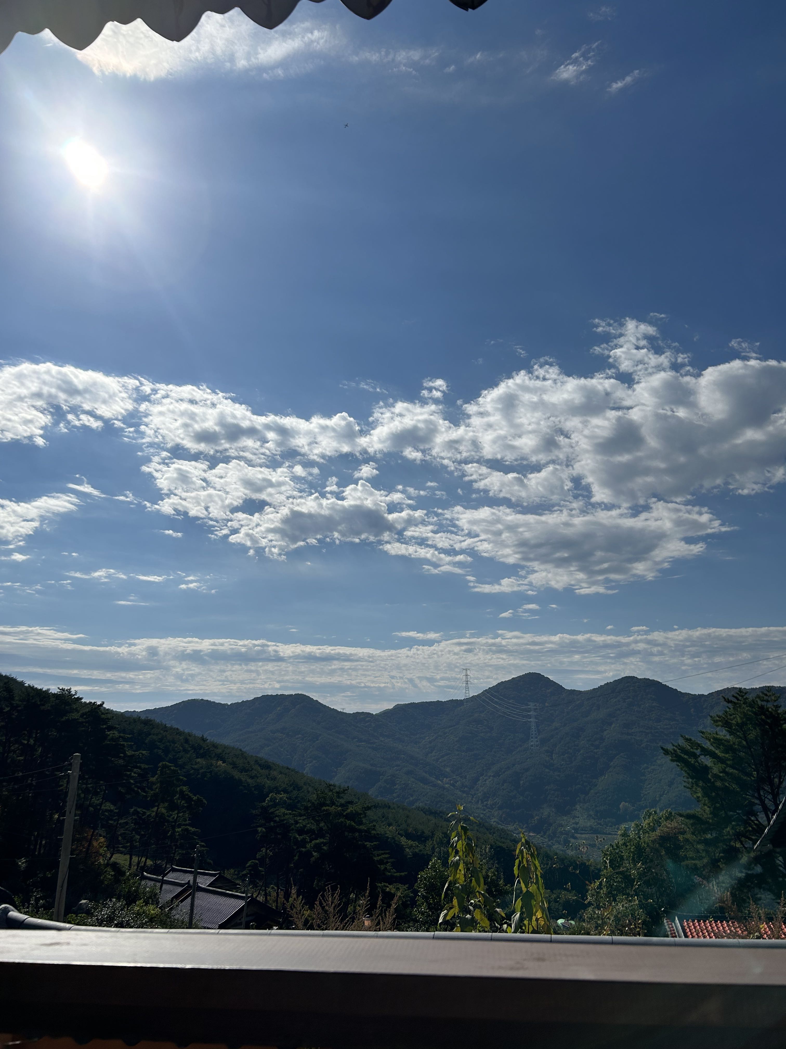 프로필사진
