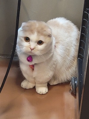 프로필사진