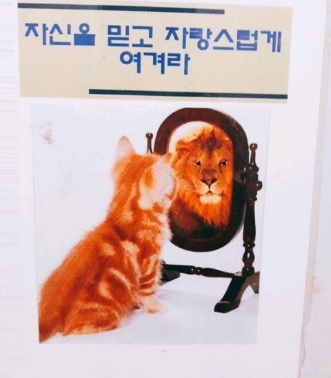 1000씨