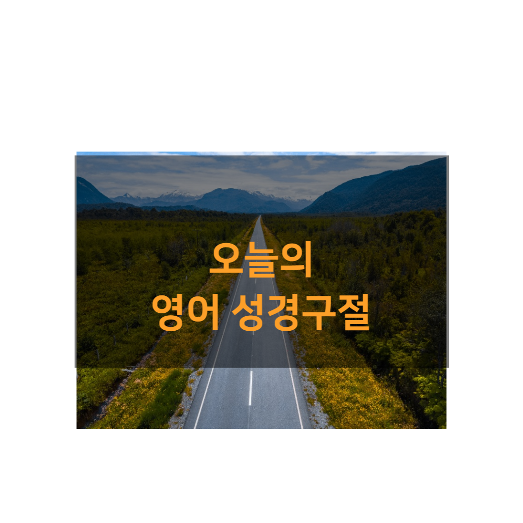 블로그 이미지