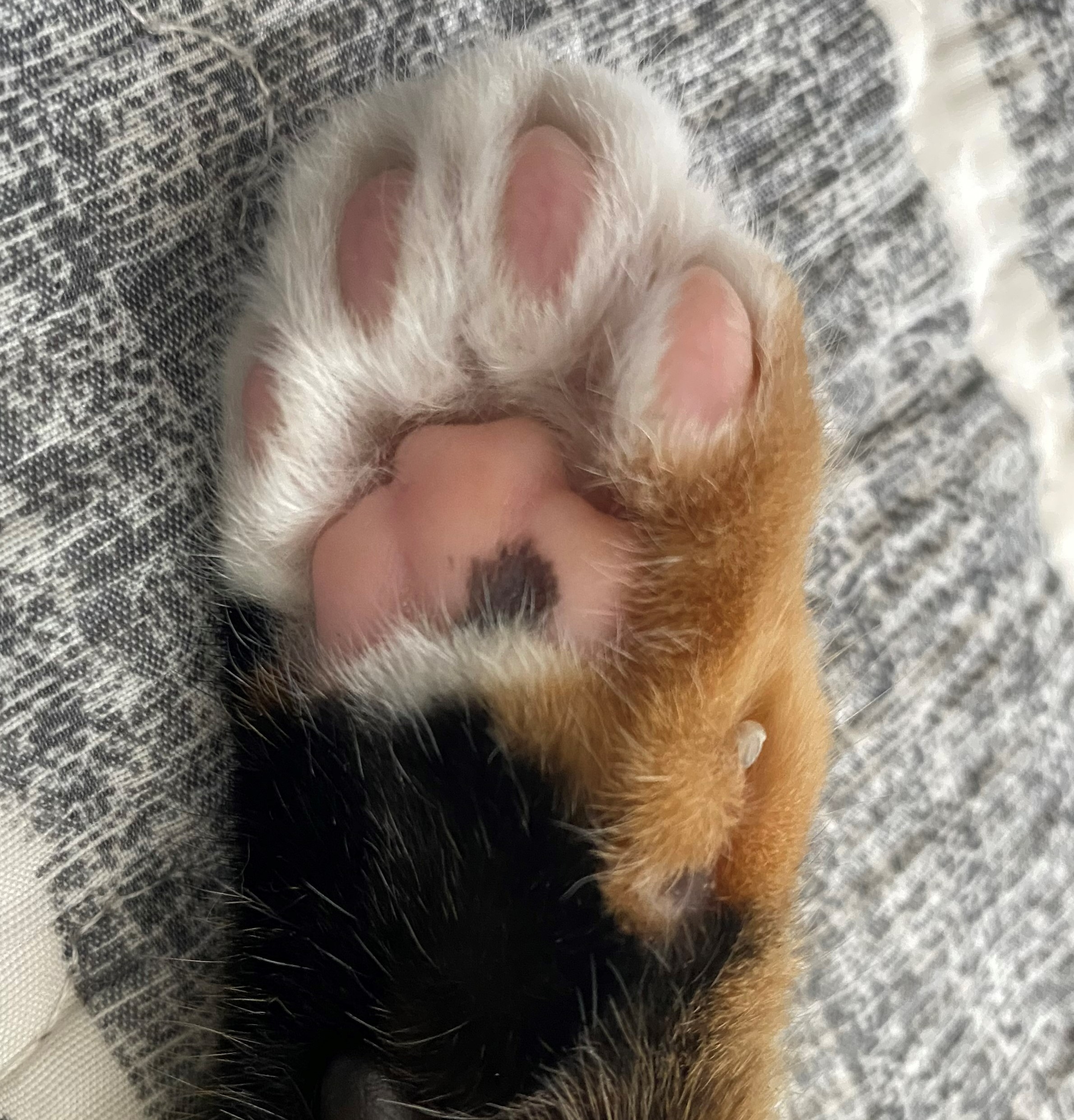 프로필사진