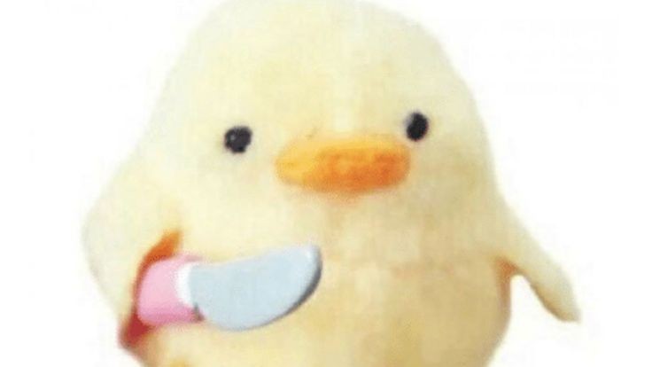 프로필사진