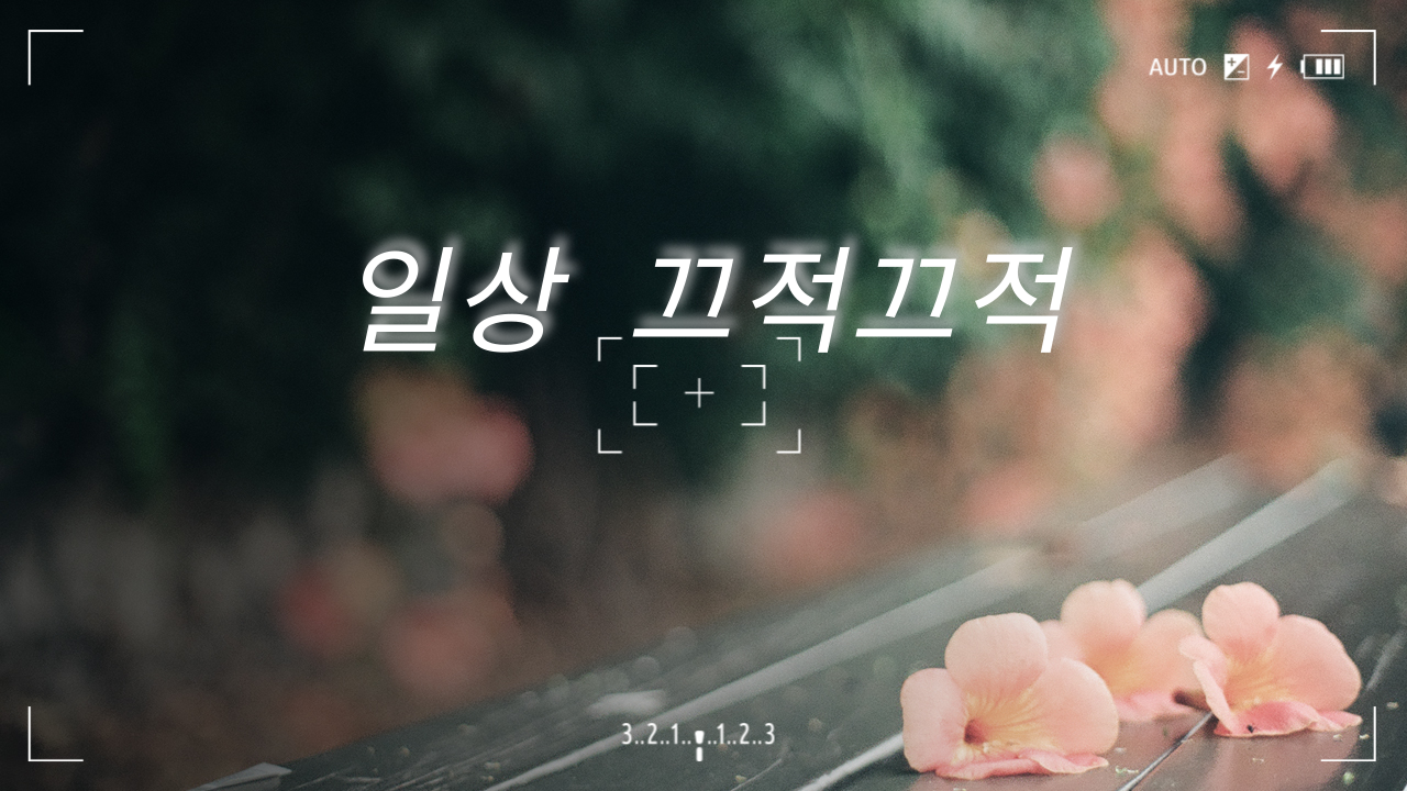 프로필사진