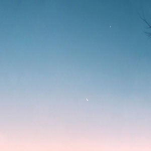 프로필사진