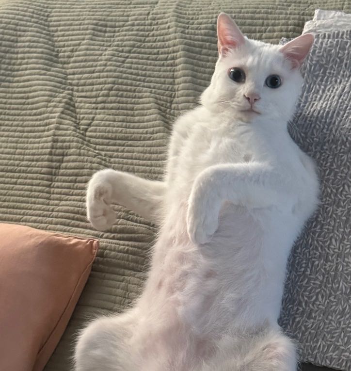 프로필사진