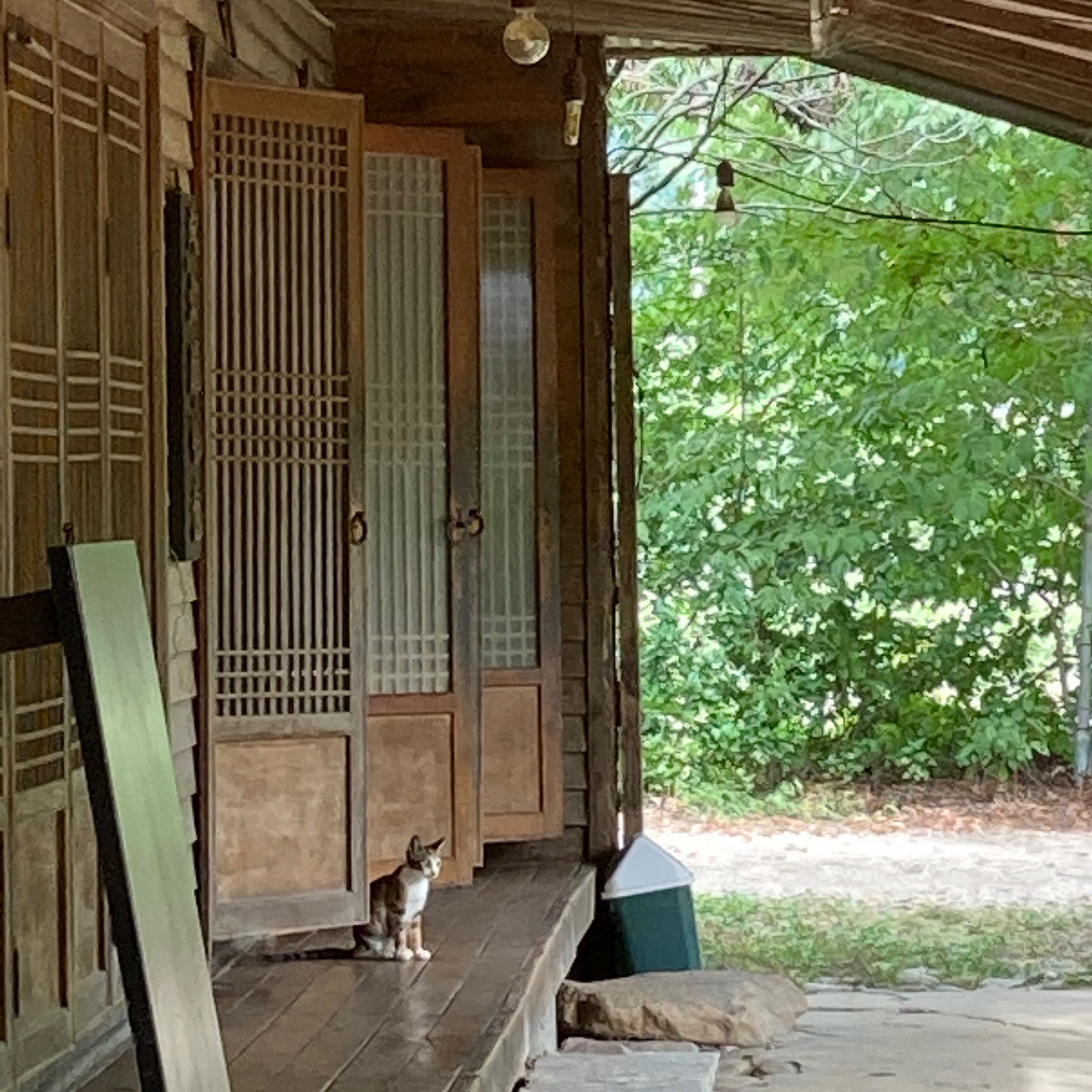 프로필사진