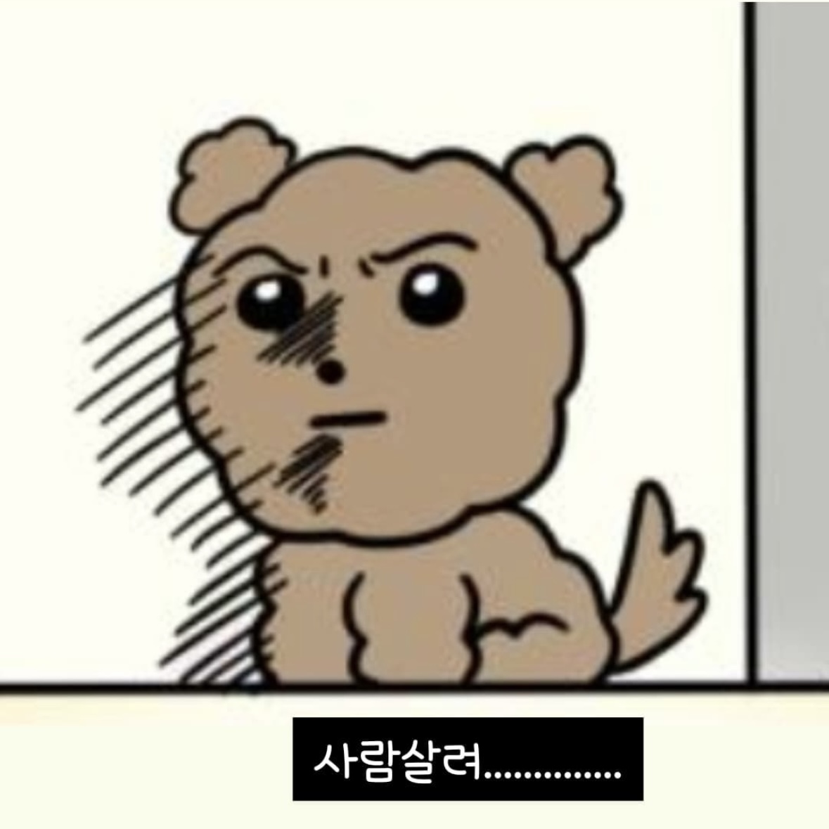 프로필사진