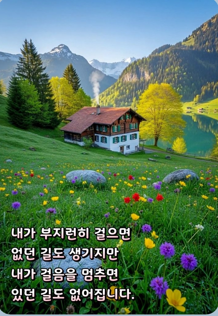 프로필사진