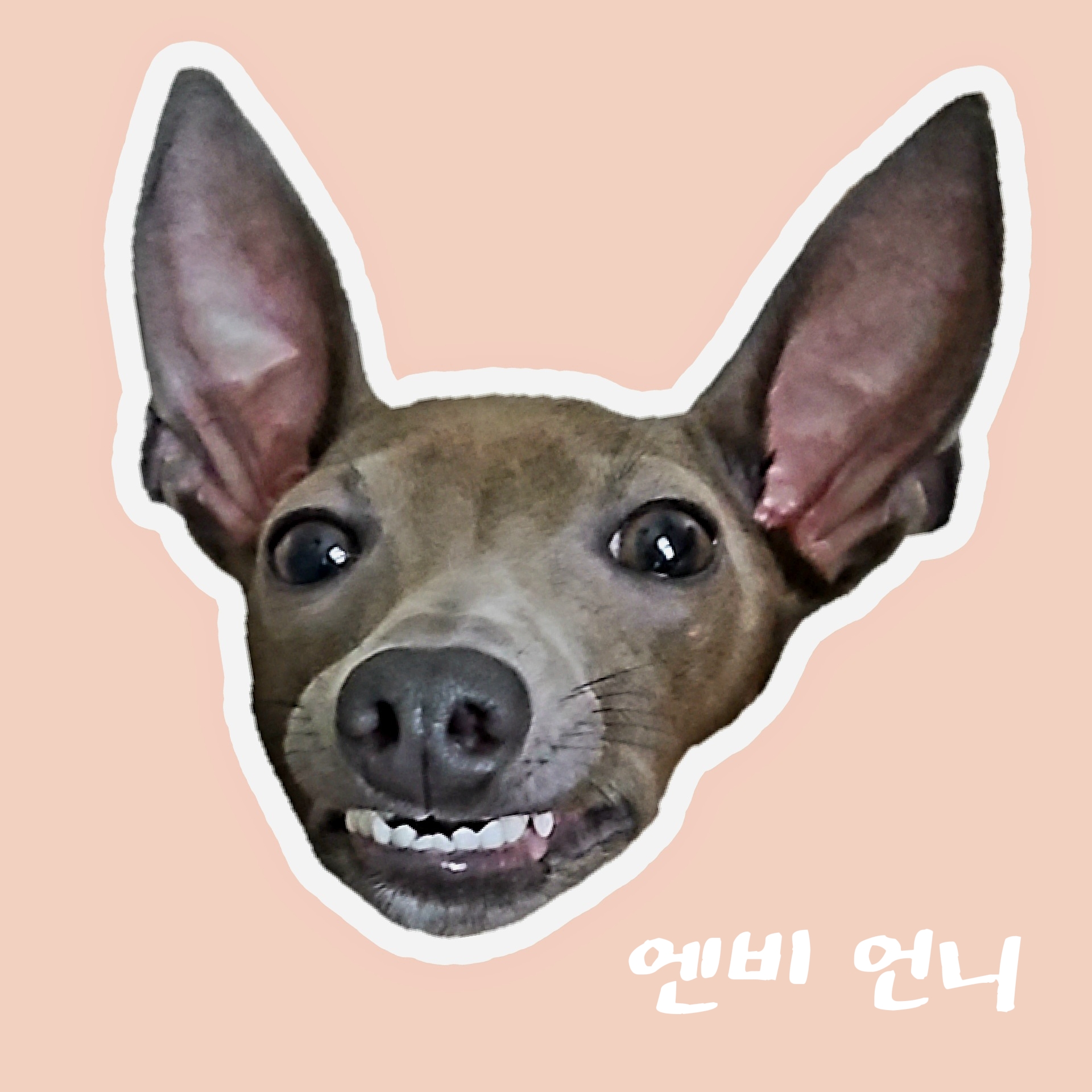 블로그 이미지