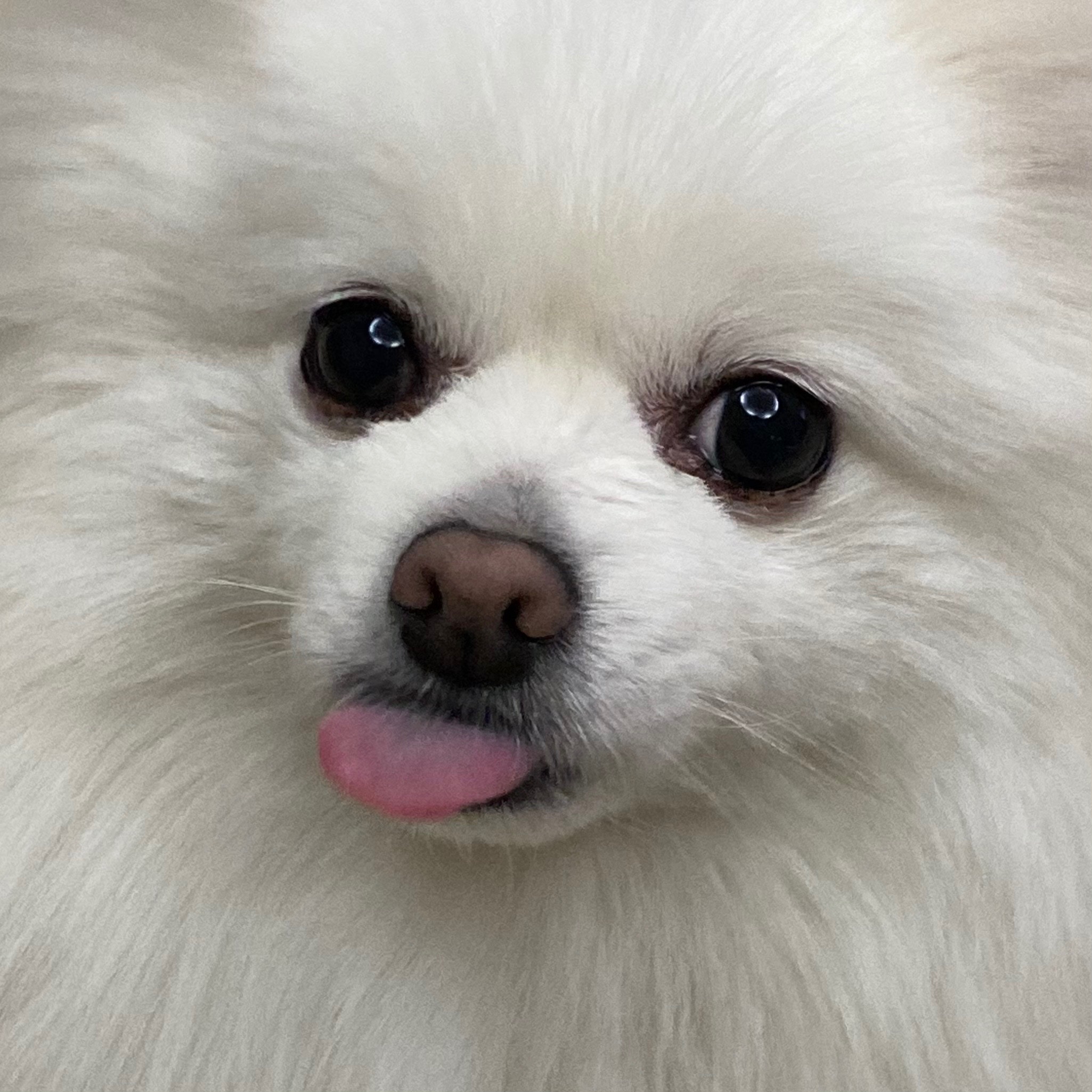 프로필사진
