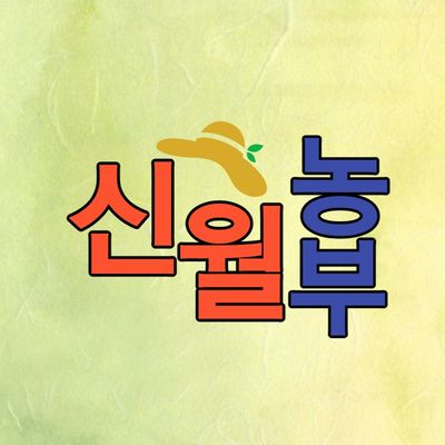 프로필사진