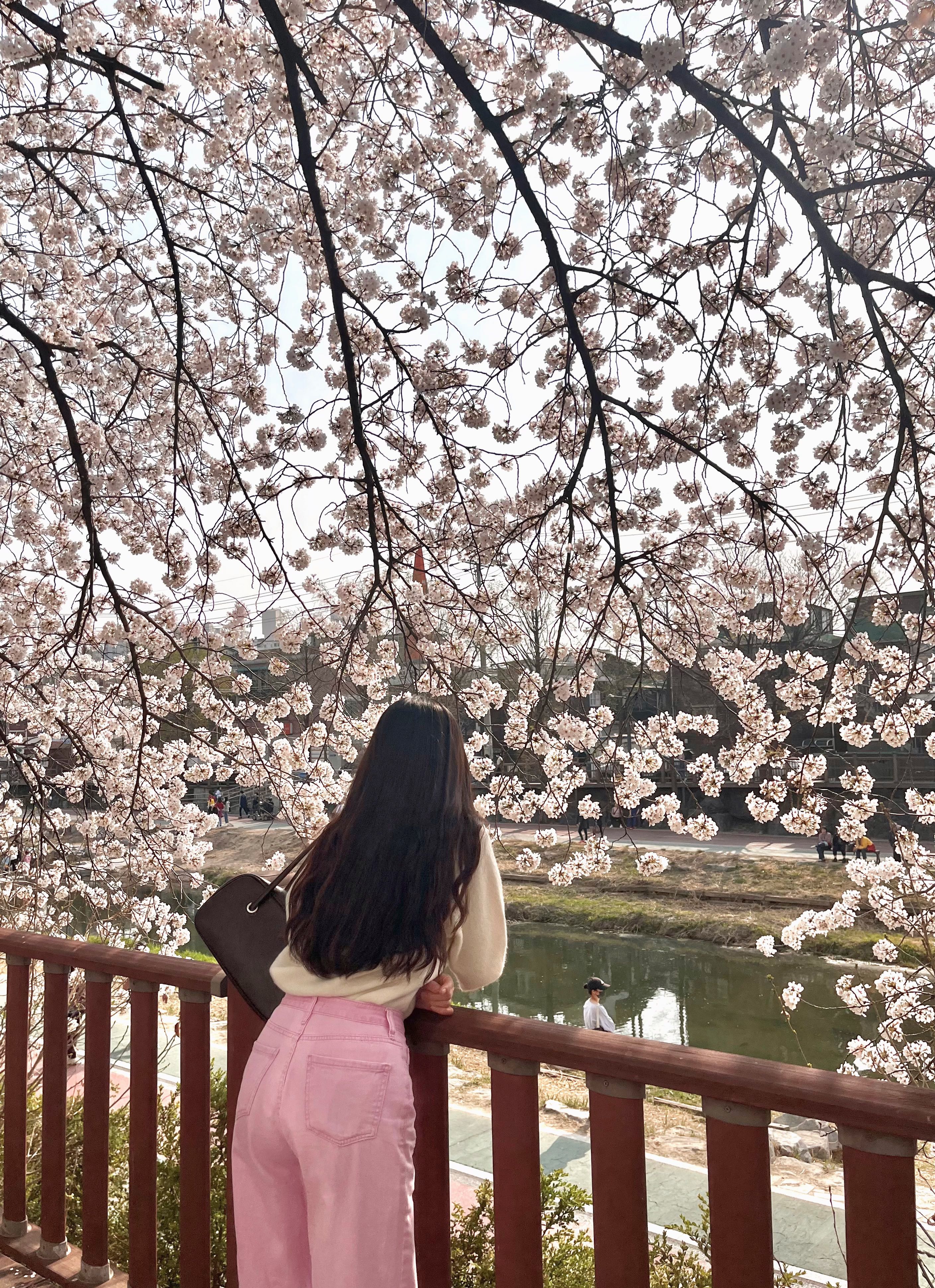 프로필사진