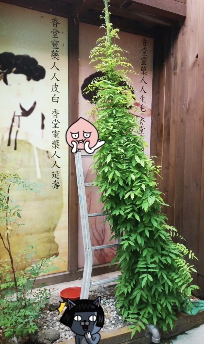 프로필사진
