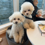 프로필사진