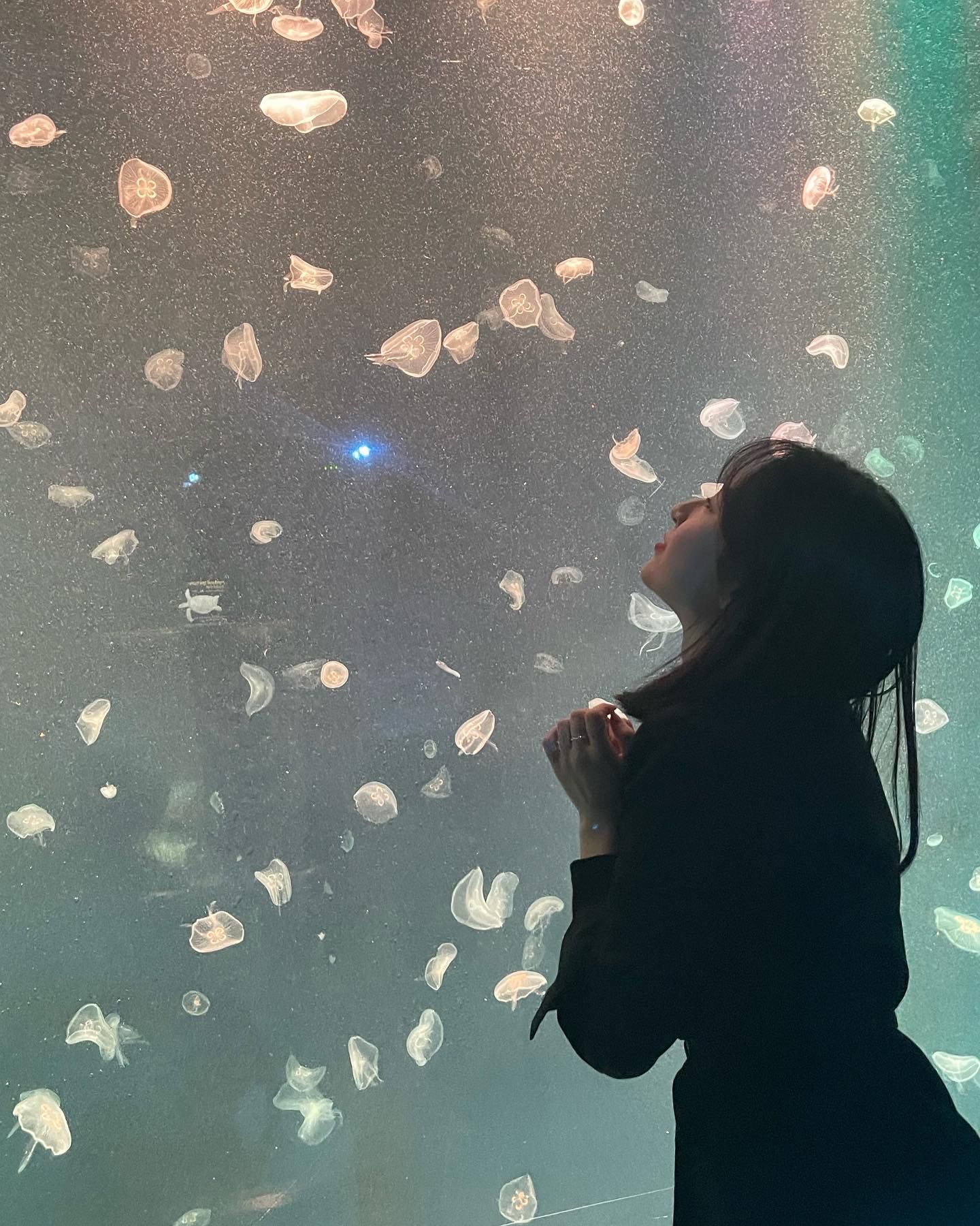 프로필사진