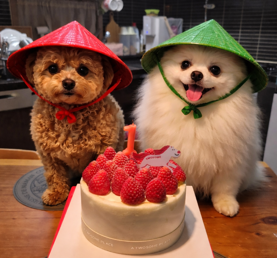 프로필사진