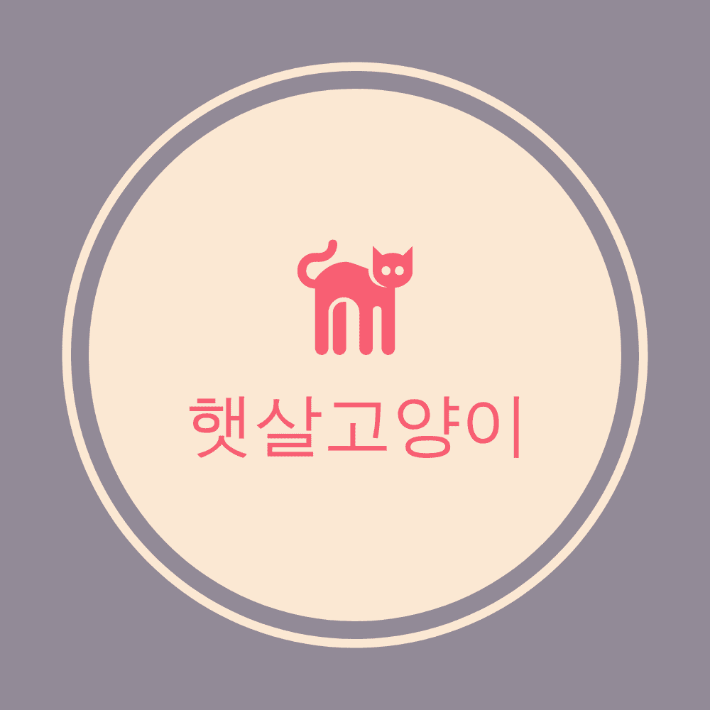 블로그 이미지
