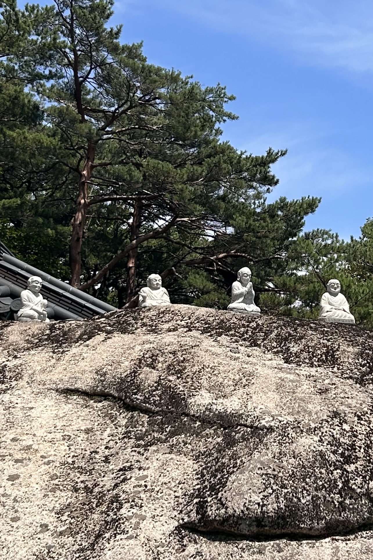 프로필사진