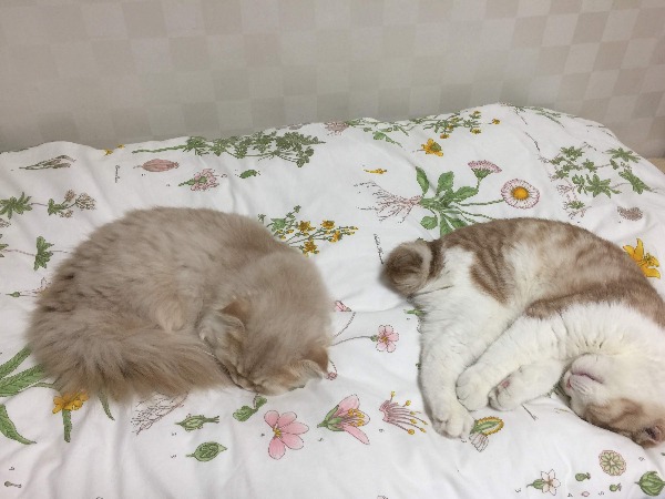 프로필사진
