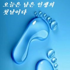 프로필사진