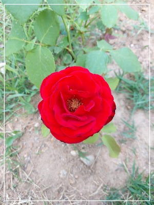 블로그 이미지