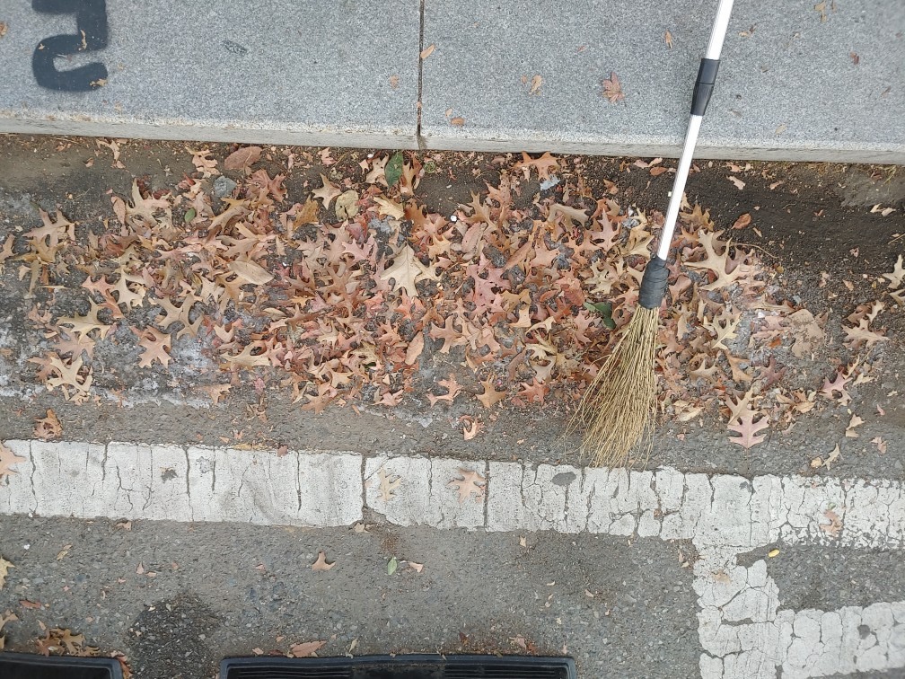 프로필사진